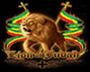 Picture Lion of Judah