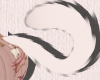 初恋 Curled Cat Tails