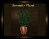 ~SE~Serenity Plant