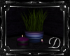 .:D:.Single Plant&Candle