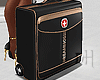DH. SwissTravel Suitcase