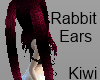 Rabbit Ear [K]