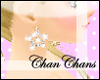[Chan] Big Star Earrings