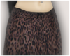 leopard NOT cheetah