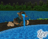 Pool Fountain~Animated