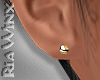 Gold Stud Earrings