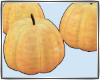 Chic Pumpkins