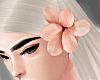{50} Camellia flower iii