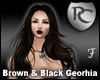Brown & Black Georhia