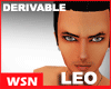 [wsn]Head#Leo-Derivable