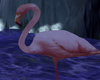 [kyh]flamingo