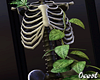 Ivy Plants+Skeleton