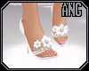 [ang]Dazzling Heels Wed