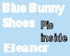 Blue Bunny Shoes