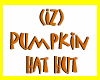 (IZ) Pumpkin Hat Hut