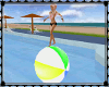 [MB] Summer Beach Ball