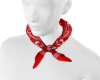 neck bamdana>
