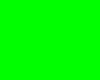 Stylyzed Green Room