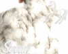 elegant fur