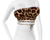 Cropped Cheetah