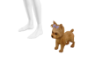 [M] Yorkie Terrier Dog