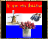 ik hou van  holland