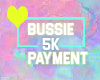 // Bussie 5k  Payment //