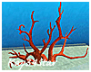 Under the Sea Coral Pose