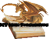 Dragon Book