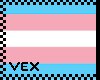 [V] Trans Pride