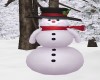 Snowman Transform