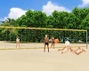 Anim. Beach Volleyball