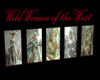 5pc Western Art