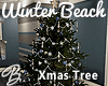 *B* Winter Beach Tree