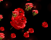 flowers effect poppy