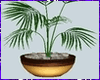 Kawaii Potted Fern
