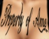 ~Property of Ame~ Ink