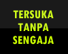 Tersuka tanpa sengaja