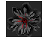 [SaT]Dark Flower