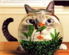 Cat in Bowl Photosticker