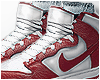 SD DUNK PRO M.