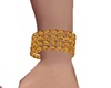 APOLO  GOLD