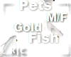 R|C Gold Fish Platinum MF