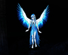 m28 angel blue