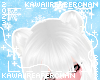 K| Bear Ears Snow