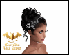 Cabelo de Noiva/CVT