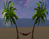 *cp* beach hammock
