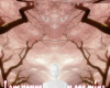 NPC - Sakura BG