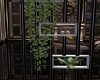 Shelf partition & plants