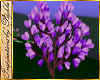 I~Purple e Tree